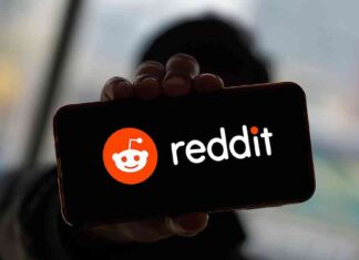 Google Exempt as Reddit Restricts Search Engine Access news-28072024-175234
