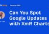 Spot Google Updates Easily with XmR Charts: A Complete Guide news-28072024-175445