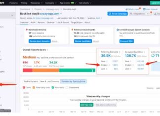Effective Content Link Building Strategy: Step-by-Step Guide news-28072024-181443