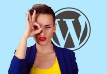 WordPress 6.6.1 Update: Fixes Fatal Errors In 6.6 news-28072024-183143