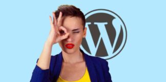 WordPress 6.6.1 Update: Fixes Fatal Errors In 6.6 news-28072024-183143