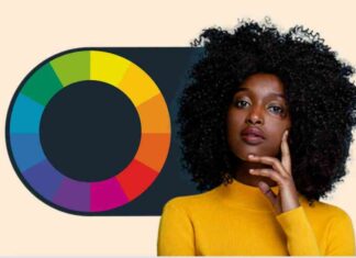 Mastering Color Theory: Color Wheels, Schemes, and Common Misconceptions news-28072024-184836