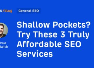 Affordable SEO Services for Shallow Pockets: 3 Options to Consider news-12082024-194404