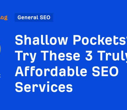 Affordable SEO Services for Shallow Pockets: 3 Options to Consider news-12082024-194404
