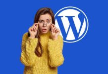 WordPress Elementor Widgets Security Patch: Protect Your Website from Vulnerabilities news-28082024-232652