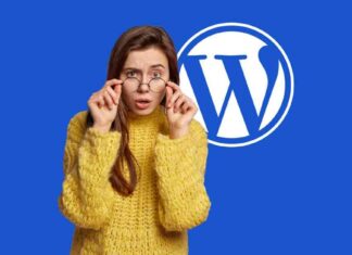 WordPress Elementor Widgets Security Patch: Protect Your Website from Vulnerabilities news-28082024-232652
