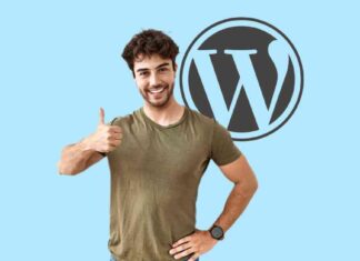 Uncovering WordPress Stagnation: Insights from WordPress Experts news-31082024-234514