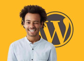 Easy Success with New WordPress Plugin: Simplify Your Journey news-14092024-113014