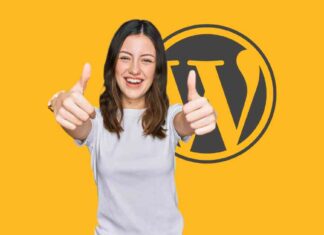 Patchstack WordPress Security Secures $5M Funding, Appoints Yoast Co-Founder to Board news-16092024-193403