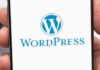 WordPress Extends Grace Period for WP Engine Customers news-28092024-060622