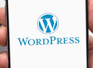 WordPress Extends Grace Period for WP Engine Customers news-28092024-060622