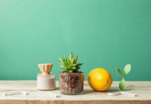 10 Eco-Friendly Swaps for a Greener Online Store 10 Eco-Friendly Swaps for a More Sustainable Online Store